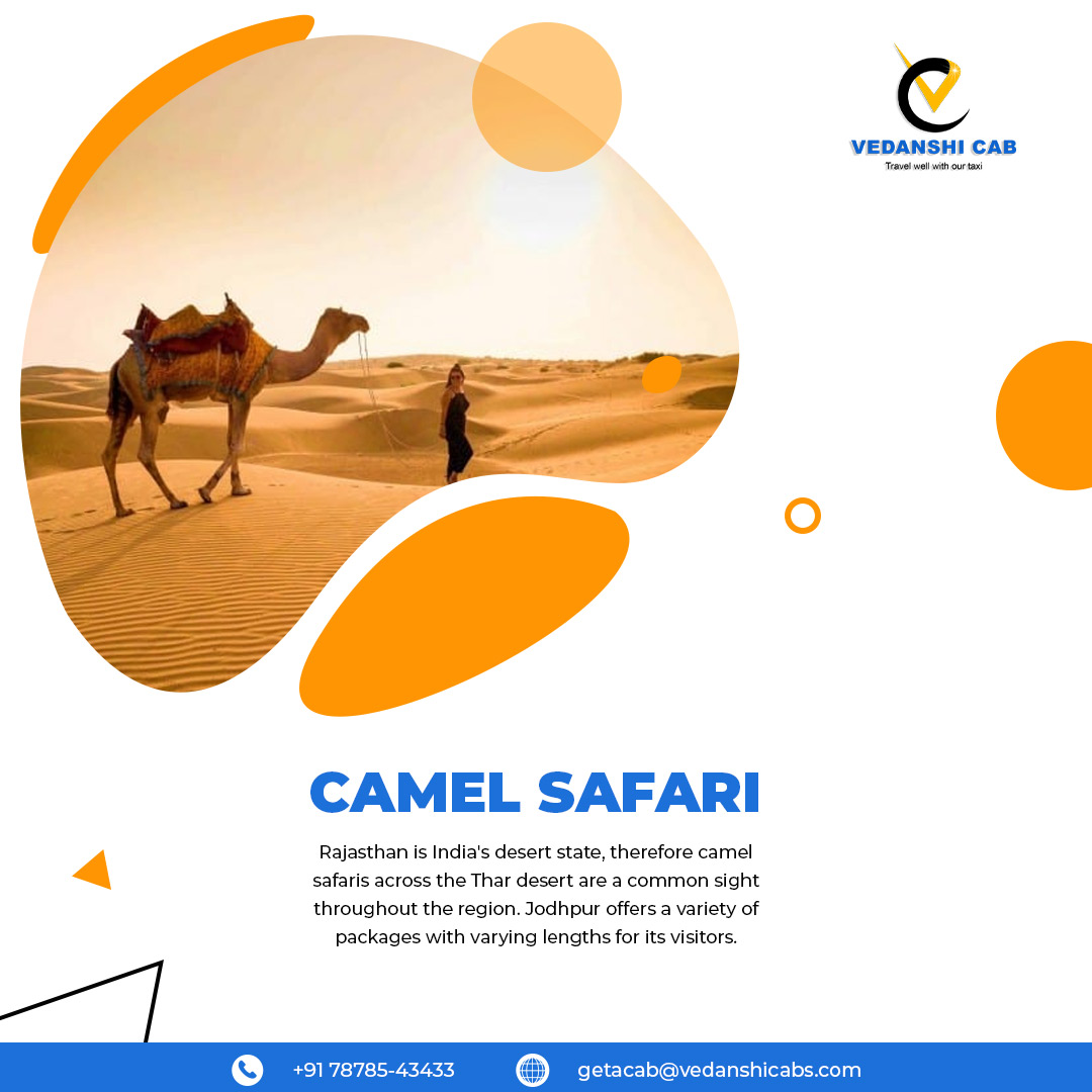 Camel safari