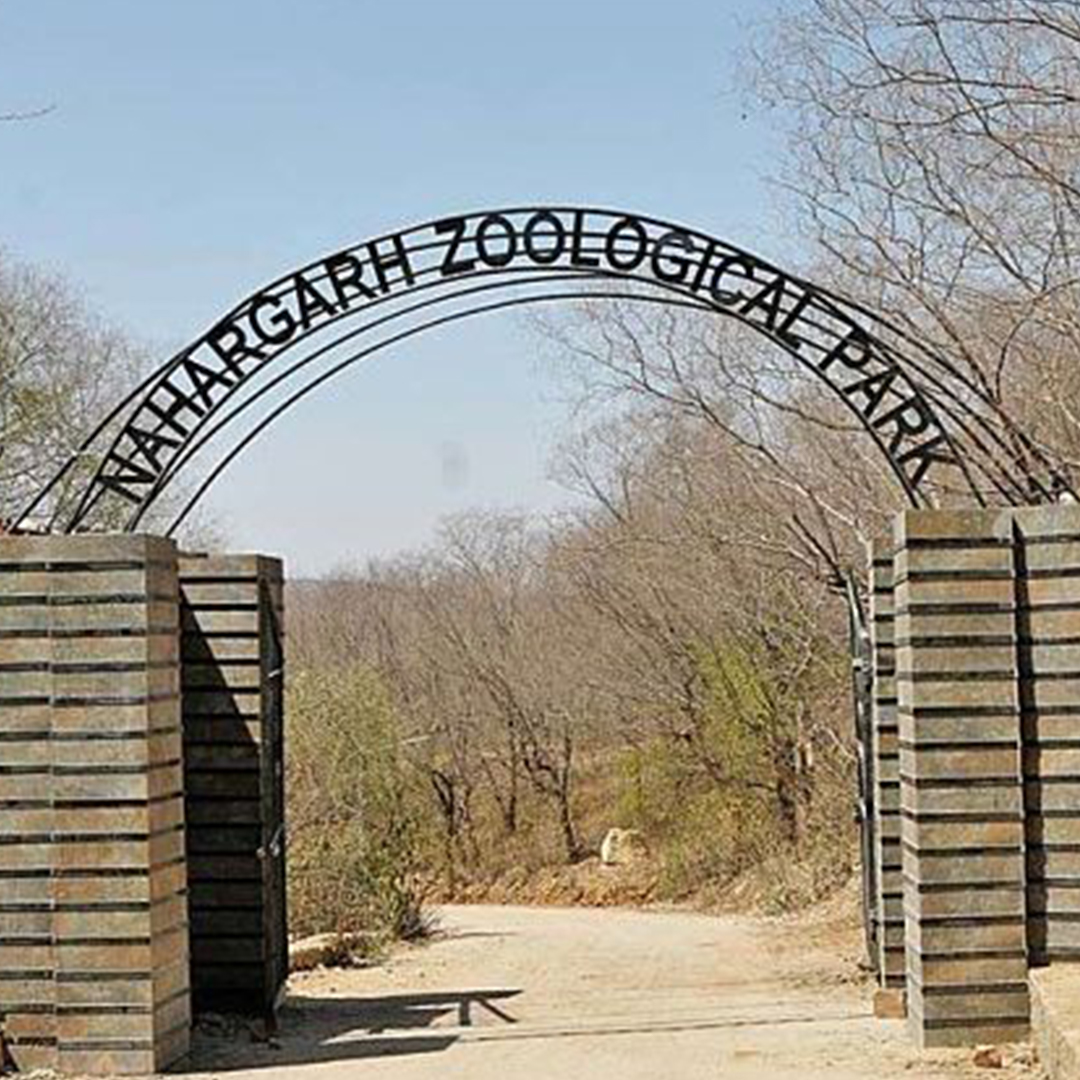 Nahargarh biological park